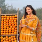 Aahana Kumra Instagram - Kinnu soni kudi 🧡🍊🧡🍊 Chandigarh, Jalandhar and Amritsar for a minute! But managed the roadside Kinnus! The Gorgeous Golden Temple! 🪯 The chhole kulchhe! The parathas! Sarson ka saag and makke di roti! The Gajar Ka halwa! The beautiful winter! And so many fond memories🧡🌞🍊🪯🙏🌸❄️ #punjab #punjabiswag . . . . #winters #winterwonderland #incredibleindia #punjab #punjabi #aahanakumra #india #goldentemple #sarsonkasaag #sarsondasaag #makkediroti #chholekulche #gajarkahalwa #parathas #foodie #foodporn #foodlover Golden Temple Amritsar Punjab India
