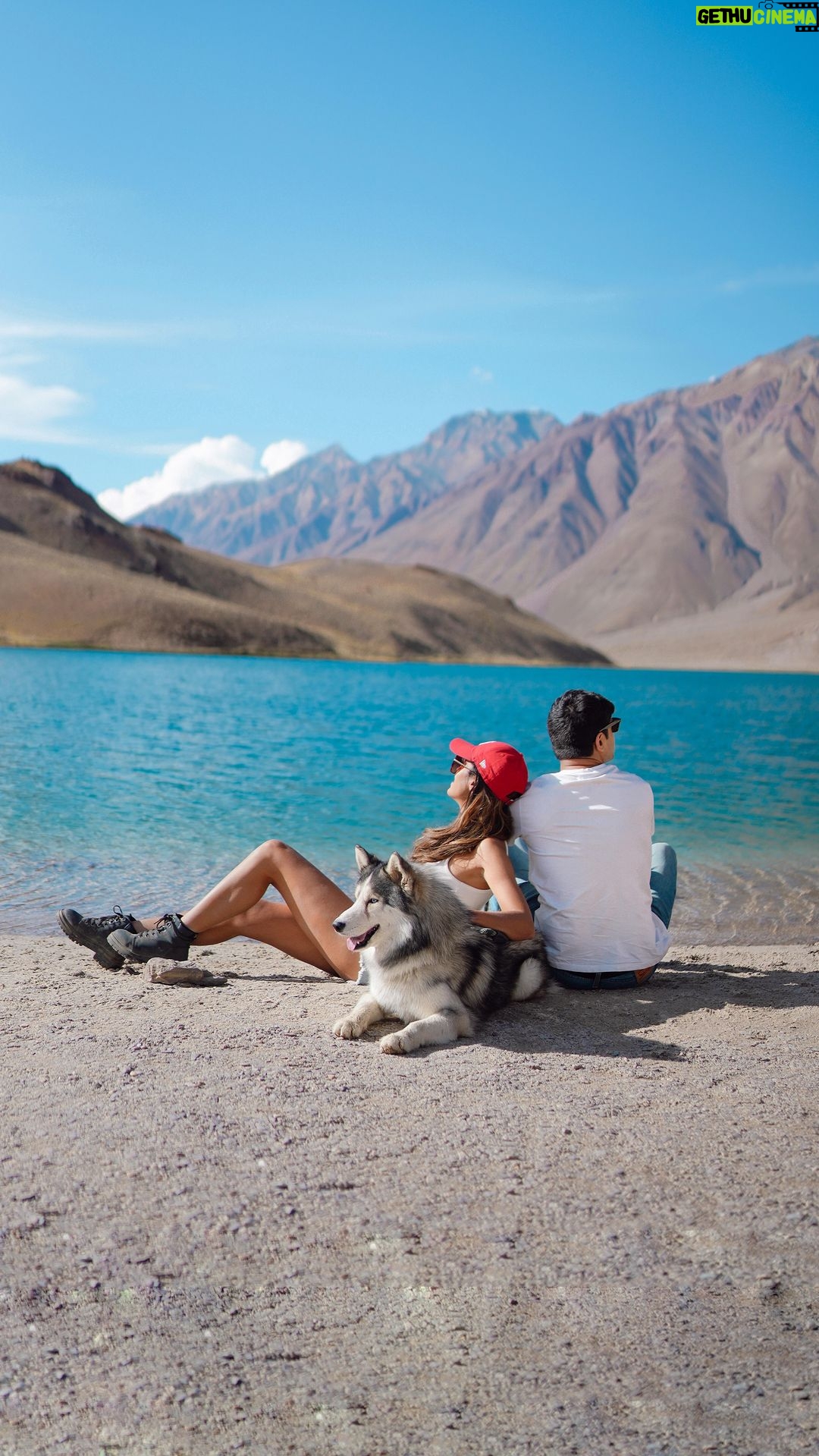 Aakriti Rana Instagram - Because he just has a few years with us and we’ll make sure that he sees everything ❤️ Shadow made it to Chandratal Lake in Lahaul & Spiti. He loved drinking the glacial water, taking in the fresh air and pooping in the mountains. Do you take your pet everywhere with you? #aakritirana #chandratal #himachal #lahaulspiti #spitivalley #dogsofinstagram #husky #dogvideos #travelblogger #indiantravelblogger #reelsinstagram