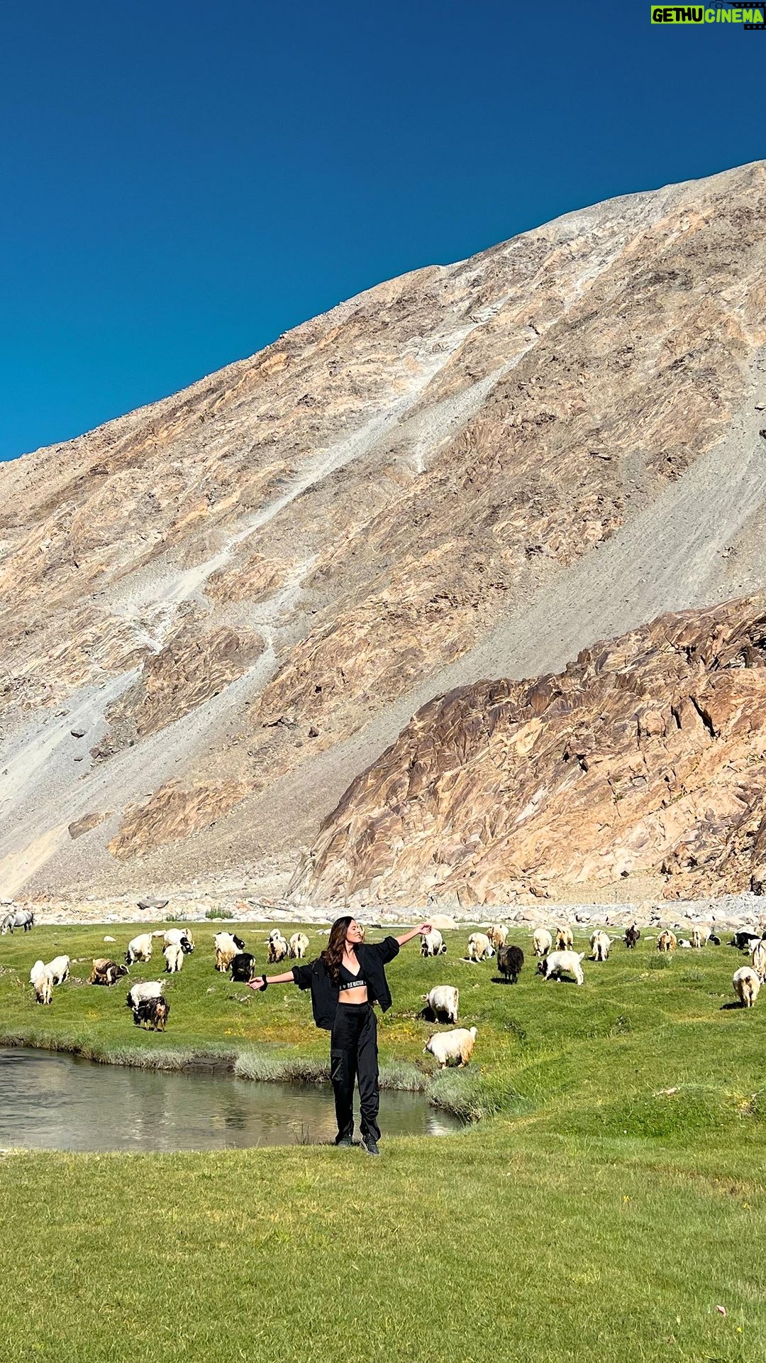 Aakriti Rana Instagram - Wow I never imagined that I would be having a live barbecue picnic at such a gorgeous location in Ladakh. You too can do this with @ladakhsarai. Tag someone you want to do this with! ❤️ Thank you @landrover_in @cougar__motorsport for this. #DefenderJourneys #CougarMotorsport #partnership #aakritirana #travelblogger #ladakh #picnic #indiantravelblogger #incredibleindia