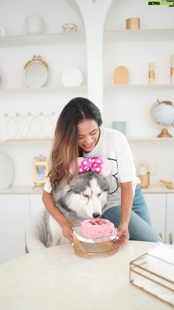 Aakriti Rana Instagram - Happy birthday to my cutie! I might not fly down to surprise most of the hoomans in my life but I had to do it for him 😋 Shadow came right before we lost mom and this doggo has been such a blessing for all of us. Even while going through so much pain, he made us smile everyday. Forever grateful to god for this little Angel ❤️ Happy 3rd Birthday Shadow! May you be the longest living doggo on earth 🌎 When is your pets birthday and how do you celebrate? Comment below and let me know❤️ #aakritirana #birthdayboy #happybirthday #happiness #dogsofinstagram #family #dogvideos #husky #reelsinstagram #surprise #birthdaysurprise #dogreels