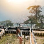 Aakriti Rana Instagram – I’ve been obsessed with these net beds ever since I went to Bali. Maybe we’ll put one in our house in Shimla.
Found a place where you can chill on one of these with an absolutely amazing view of the sunset and the city. My favourite new place to hangout in Shimla! P.s you need to try their mango beer! It’s 🔥 
Location: @shimlabrewingcompany 

Tag someone you would go here with ❤️
And save it for your next trip! 

#Aakritirana #shimla #himachal #brewery #sunset #wheretoeat #shimlamallroad #hosted #travelblogger #indiantravelblogger #reelsindia #cityview Shimla,himachal Pradesh