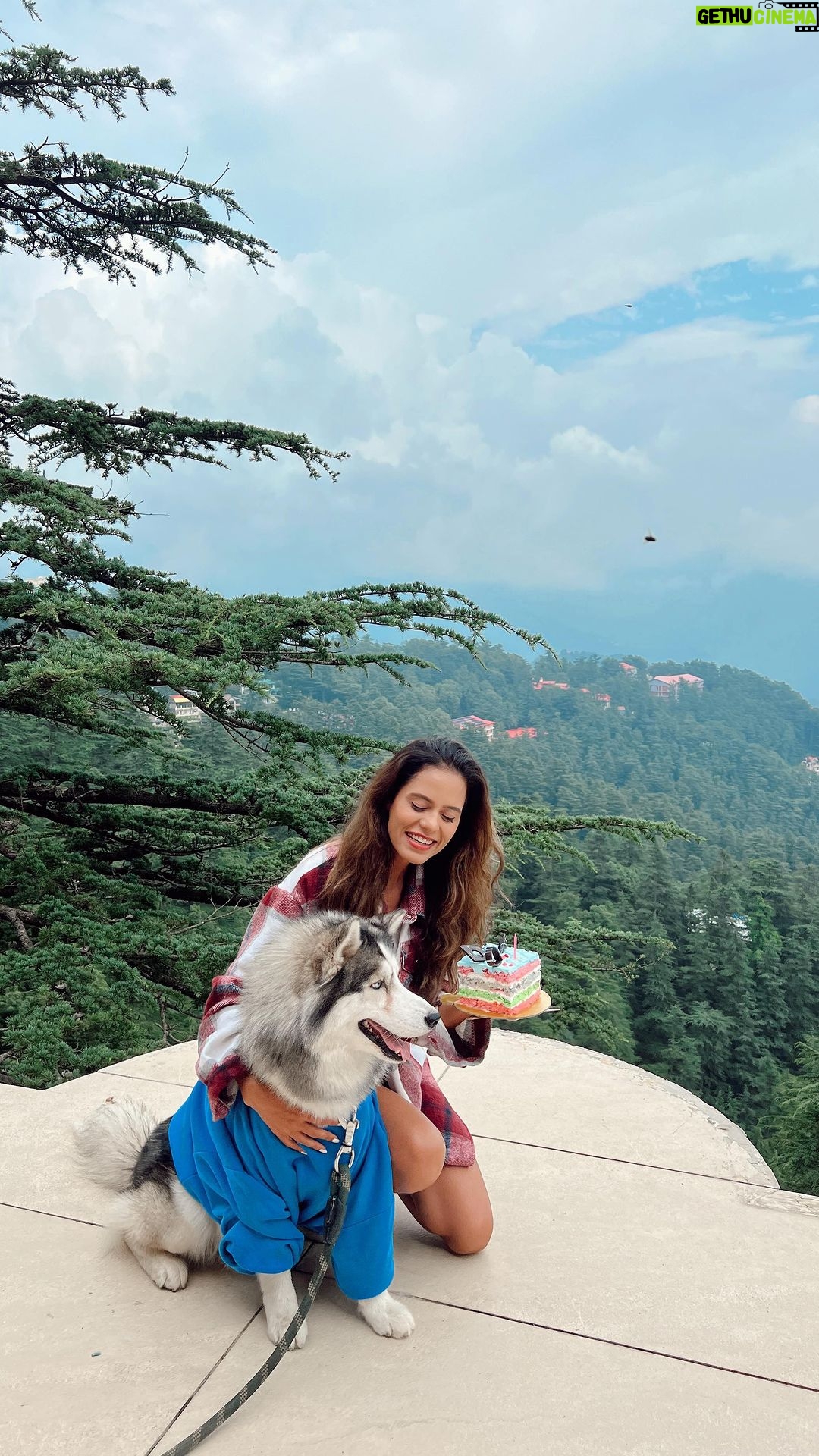 Aakriti Rana Instagram - Best kind of birthday π Spending my day in the mountains with family β€οΈ Happy birthday to meeee π #aakritirana #birthday #family #mountains #birthdaygirl #himachal #reelsindia #transition #wanderlust
