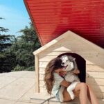 Aakriti Rana Instagram – Built a dog house for my furry baby from scratch. I think he likes it, what do you think? It has a great view also. However he won’t get to live here until the work is complete and there is a safe railing there. 🥺

Dad and Mahinder bhaiya (he is doing our woodwork) have been teaching me a lot of new things! Never knew I would enjoy learning all this so much! I don’t feel like going back to Delhi now 🙈

Comment 🐶 if you want to hire me for making a doggo house for you 🤣🤣

#aakritirana #doghouse #mountains #diy #doityourself #dogvideos #husky #shimla #himachal #cottage #reelsindia #travelblogger #love