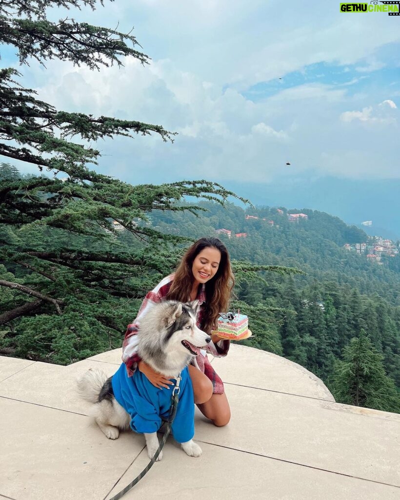 Aakriti Rana Instagram - Pictures from my last 6 birthdays 🎂 Thank you for all the love and lovely wishes! You guys are amazing ❤️ 1) Rohan and @raghav.kalraa took me to the hills near Pune and did a beautiful setup for my last birthday. 2) Rohan is rarely here for my birthday and this time was his first time when he could be there so it was really special. 3) Did a little DIY setup and @dikshavohra and I celebrated my first birthday after covid together. She even baked a cake for me. 4) I was completely alone during covid in my Pune flat and I decided to do celebrate my birthday myself. I clearly love doing DIY birthday decorations. 5) i celebrated my birthday with a meet and greet at my Jabalpur army house(dad was posted there). I flew back to pune and Diksha picked me up from the airport and surprised me with this beautiful birthday setup at home. She even made a video for me with messages from all of my closest people. Aisi friend sabko mile 😍 6) This year was all about family and home ❤️ #aakritirana #birthday #celebration #birthdaygirl #birthdaydecor #family