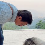 Aakriti Rana Instagram - The best feeling after growing up is surprising your family with an unexpected visit! Dad was so happy to see us but I think shadow was more excited than any of us to see dad! ❤️ He was complaining to him for not taking him along 🙊 (Watch till the end) #aakritirana #family #surprise #reelsindia #reelinstagram #husky #doglife #travel #familytime #mountains #travelblogger #surprisevisit #love
