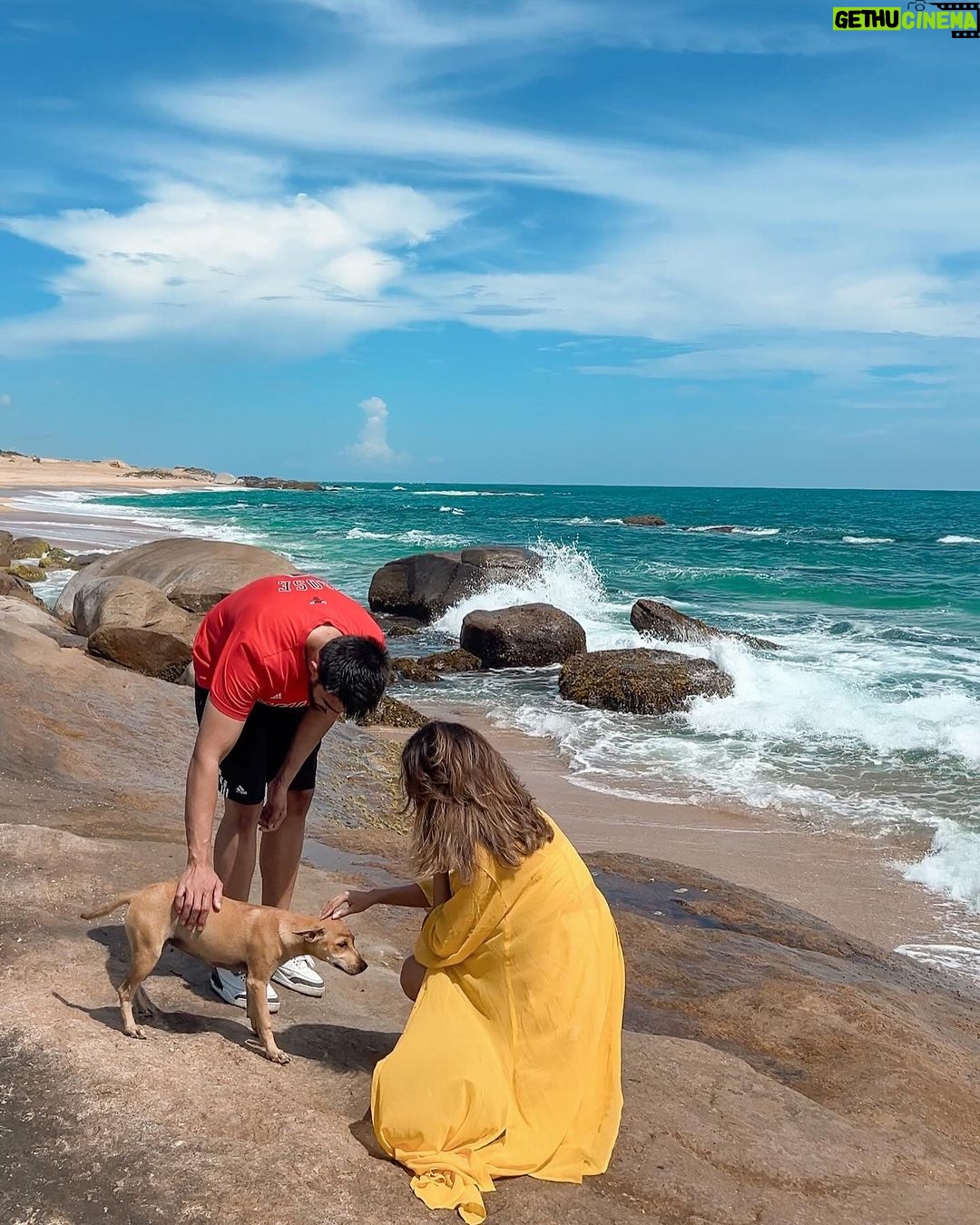 Aakriti Rana Instagram - Sri Lanka photo dump! 💁🏻♀️ Had a wonderful mini vacation in Sri Lanka with @hiltonyalaresort. Had amazing food, enjoyed our private pool, went for a safari and chilled with cocktails at the beach ❤️ @hilton @communicate_india #collab #aakritirana #srilanka #yalanationalpark #travelblogger #indiantravelblogger #photodump