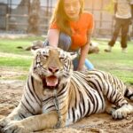 Aashika Bhatia Instagram - Roar🔥
