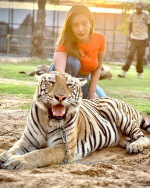 Aashika Bhatia Instagram - Roar🔥