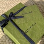 Aashna Shroff Instagram - welcome home, #GucciHorsebit1955 🤍✨ @gucci #gifted