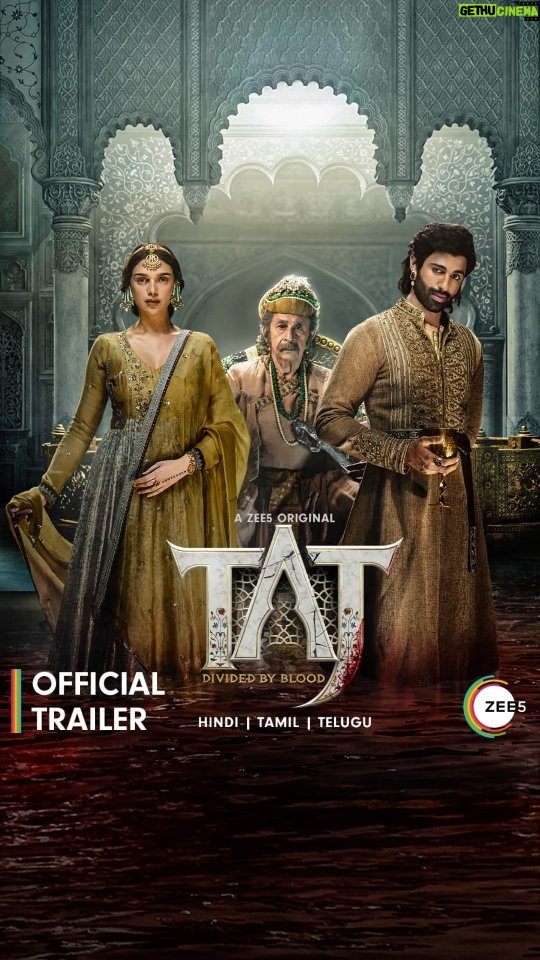 Aastha Chaudhary Instagram - Finally it's here 💖 Can't wait to watch 😍 "TAJ" @contiloepictures @zee5 @naseeruddin49 @aditiraohydari @aapkadharam @rahulbose7 sandymridul @aashimgulati @taahashah @shubhamkumarmehra_ @manish_kalra_ @zee5global @roopali78 @varshaalallwani @theshivambawa