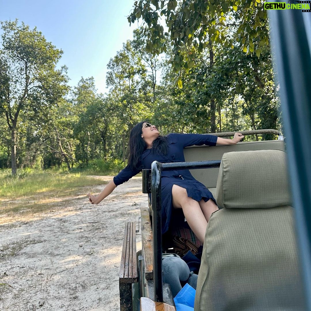 Aathmika Instagram - Searching for tiger ended up having snacks in middle of the jungle for most of my safari’s but god has been kind to let me spot 3 tigers on my last day of safari 🐅 The thrill is to watch tiger in its natural habitant but the sheer high is to have few seconds of eye contact, phew literally dead moment.. 🐯 #Junglelife Bandhavgarh National Park