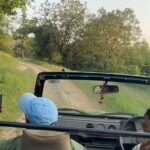 Aathmika Instagram – Searching for tiger ended up having snacks in middle of the jungle for most of my safari’s but god has been kind to let me spot 3 tigers on my last day of safari 🐅

The thrill is to watch tiger in its natural habitant but the sheer high is to have few seconds of eye contact, phew literally dead moment.. 🐯 

#Junglelife Bandhavgarh National Park