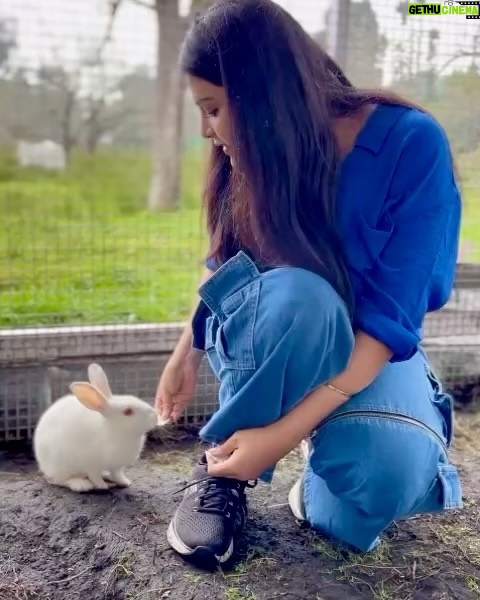 Aathmika Instagram - Embracing the simplicity of farm life – where every moment is a breath of fresh air and every view paints a picture of serenity 🌾 🦆🐇 🍓 🫖 ☕️ #FarmLife #simplejoys