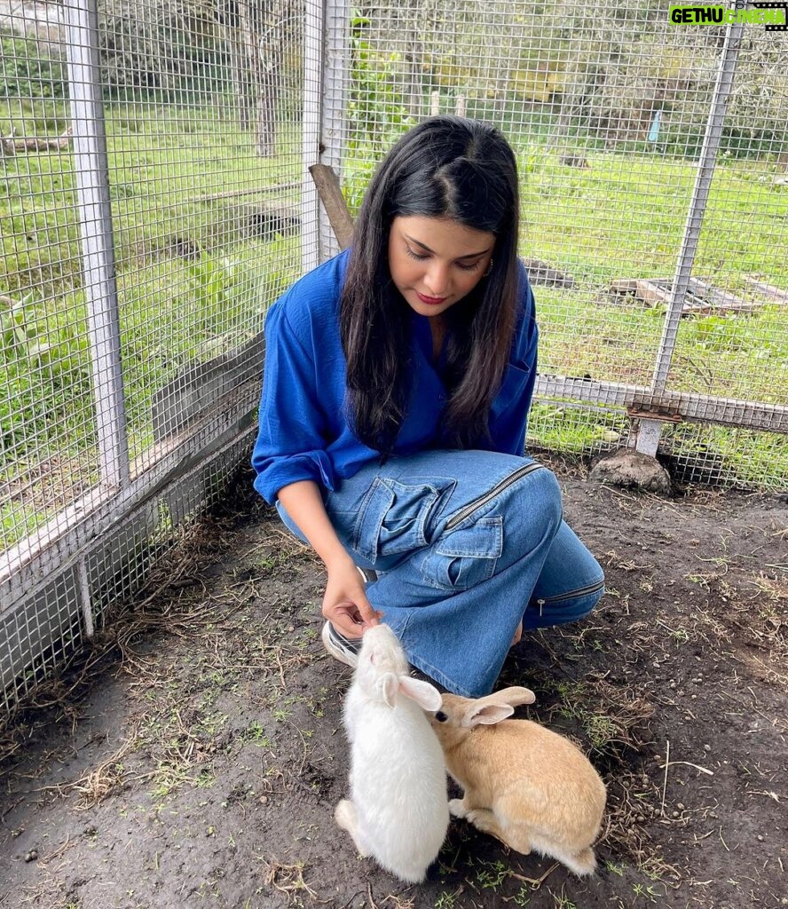Aathmika Instagram - Embracing the simplicity of farm life – where every moment is a breath of fresh air and every view paints a picture of serenity 🌾 🦆🐇 🍓 🫖 ☕ #FarmLife #simplejoys