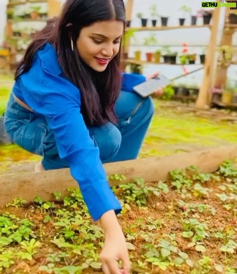 Aathmika Instagram - Embracing the simplicity of farm life – where every moment is a breath of fresh air and every view paints a picture of serenity 🌾 🦆🐇 🍓 🫖 ☕ #FarmLife #simplejoys