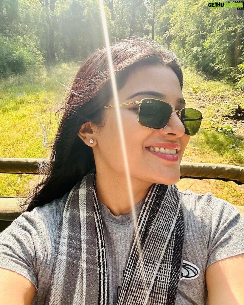 Aathmika Instagram - Searching for tiger ended up having snacks in middle of the jungle for most of my safari’s but god has been kind to let me spot 3 tigers on my last day of safari 🐅 The thrill is to watch tiger in its natural habitant but the sheer high is to have few seconds of eye contact, phew literally dead moment.. 🐯 #Junglelife Bandhavgarh National Park