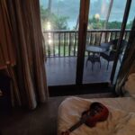 Adah Sharma Instagram – Home is where the art is 🖌️🎨🎸🍃🎹🍧⛸️🥰♥️ home sweet home 🏡Thank you for letting me live rent free in your hearts ❤️ Ghar :)