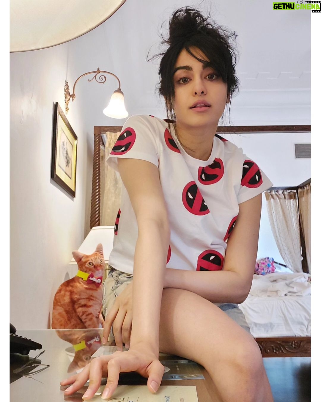 Adah Sharma Instagram - Kaun main? Haan tum ! Bas tum? Ohffooh ππ§ββοΈππ§ββοΈπ€ Spiderman X Deadpool π¦π€ΈββοΈπ§