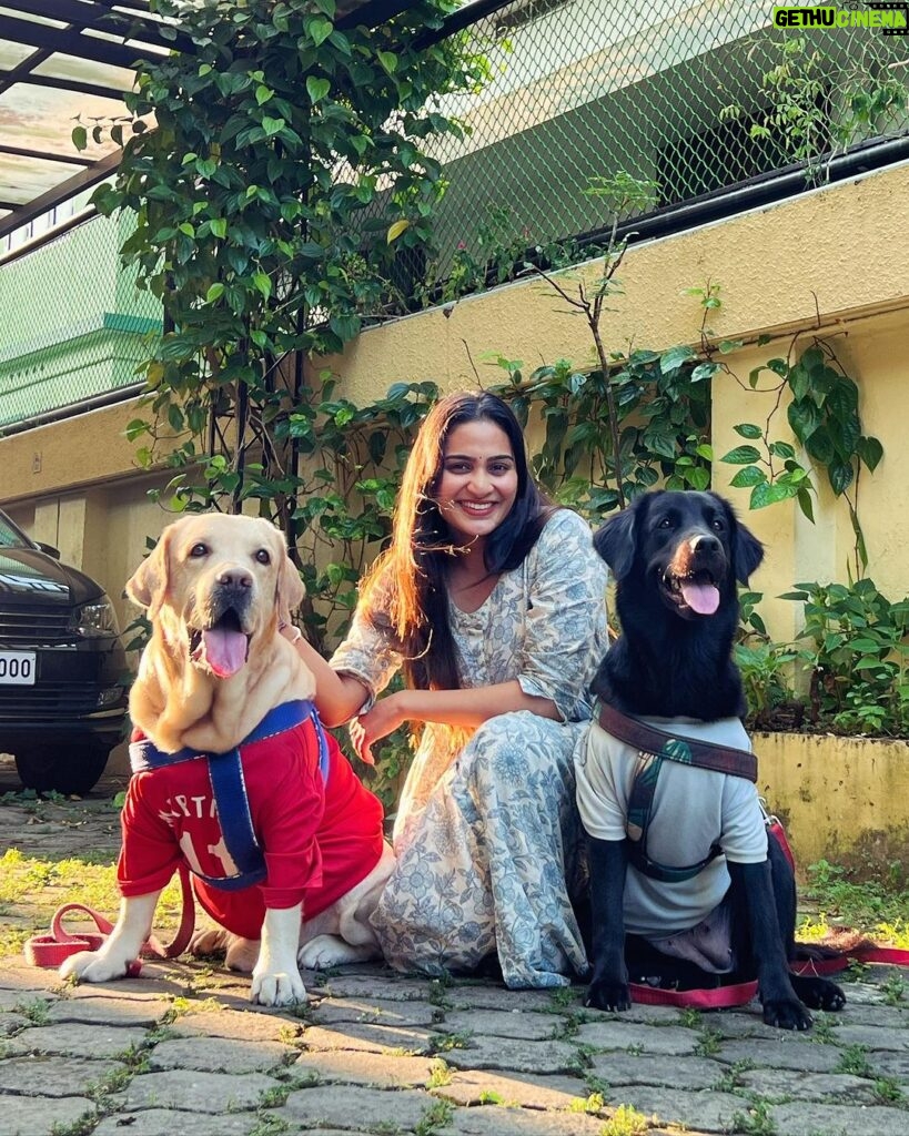 Aditi Ravi Instagram - A little love makes a big difference ❤️ @we_teddy_and_tessa 🐾🤗 #new #pets #teddy #tessa #instadaily