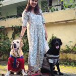 Aditi Ravi Instagram - A little love makes a big difference ❤️ @we_teddy_and_tessa 🐾🤗 #new #pets #teddy #tessa #instadaily