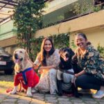Aditi Ravi Instagram - A little love makes a big difference ❤️ @we_teddy_and_tessa 🐾🤗 #new #pets #teddy #tessa #instadaily