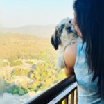 Adrija Addy Roy Instagram - My 🏡❤️🐾🧿 . . . . . . . . . . . . . . #my #love #mybaby #newpost #spreadlove #photooftheday #instapic #instapost #instagood #instalove #instalike #instafollow #instalife #insta #instagram . MICL Aaradhya HighPark