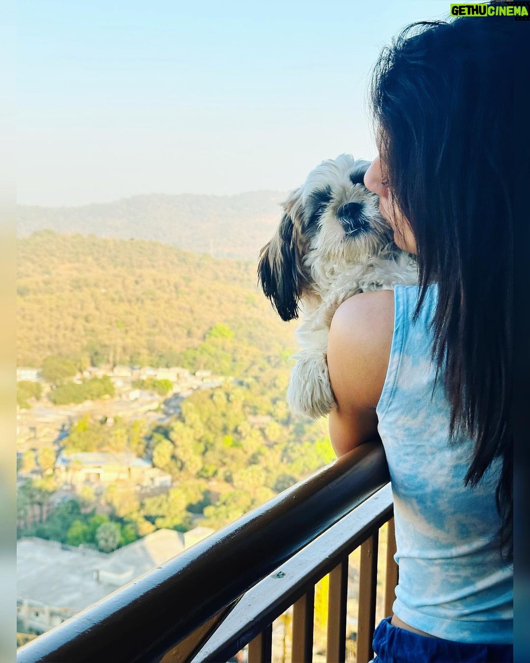 Adrija Addy Roy Instagram - My 🏡❤️🐾🧿 . . . . . . . . . . . . . . #my #love #mybaby #newpost #spreadlove #photooftheday #instapic #instapost #instagood #instalove #instalike #instafollow #instalife #insta #instagram . MICL Aaradhya HighPark