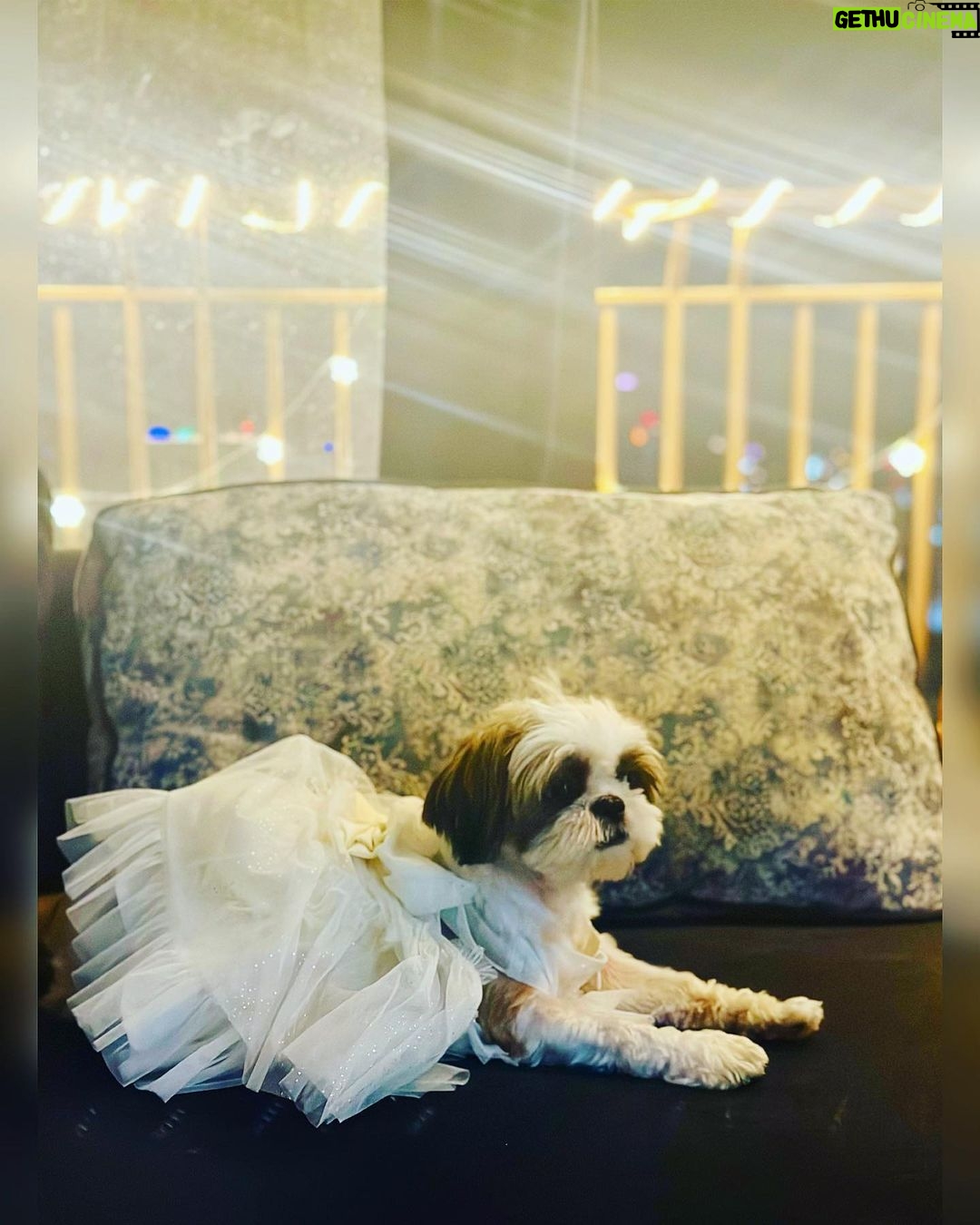 Adrija Addy Roy Instagram - Diwali things ❤️🧿🪔✨ MICL Aaradhya HighPark