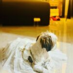 Adrija Addy Roy Instagram - Diwali things ❤️🧿🪔✨ MICL Aaradhya HighPark