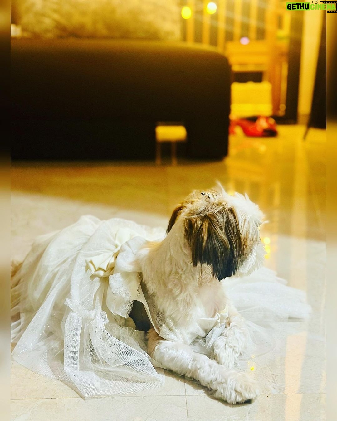 Adrija Addy Roy Instagram - Diwali things ❤️🧿🪔✨ MICL Aaradhya HighPark