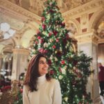 Aisha Ahmed Instagram - . “Merry Christmas, You Filthy Animal” #iykyk 📺🎅🏼❄️ New York Cafe Palace Budapeste