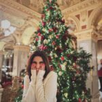 Aisha Ahmed Instagram - . “Merry Christmas, You Filthy Animal” #iykyk 📺🎅🏼❄️ New York Cafe Palace Budapeste