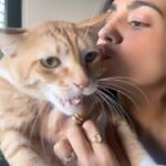 Aksha Pardasany Instagram – After this he scratched me and Hungama ho Gaya 😂❤️

Tripper all the way ❤️

#catmom