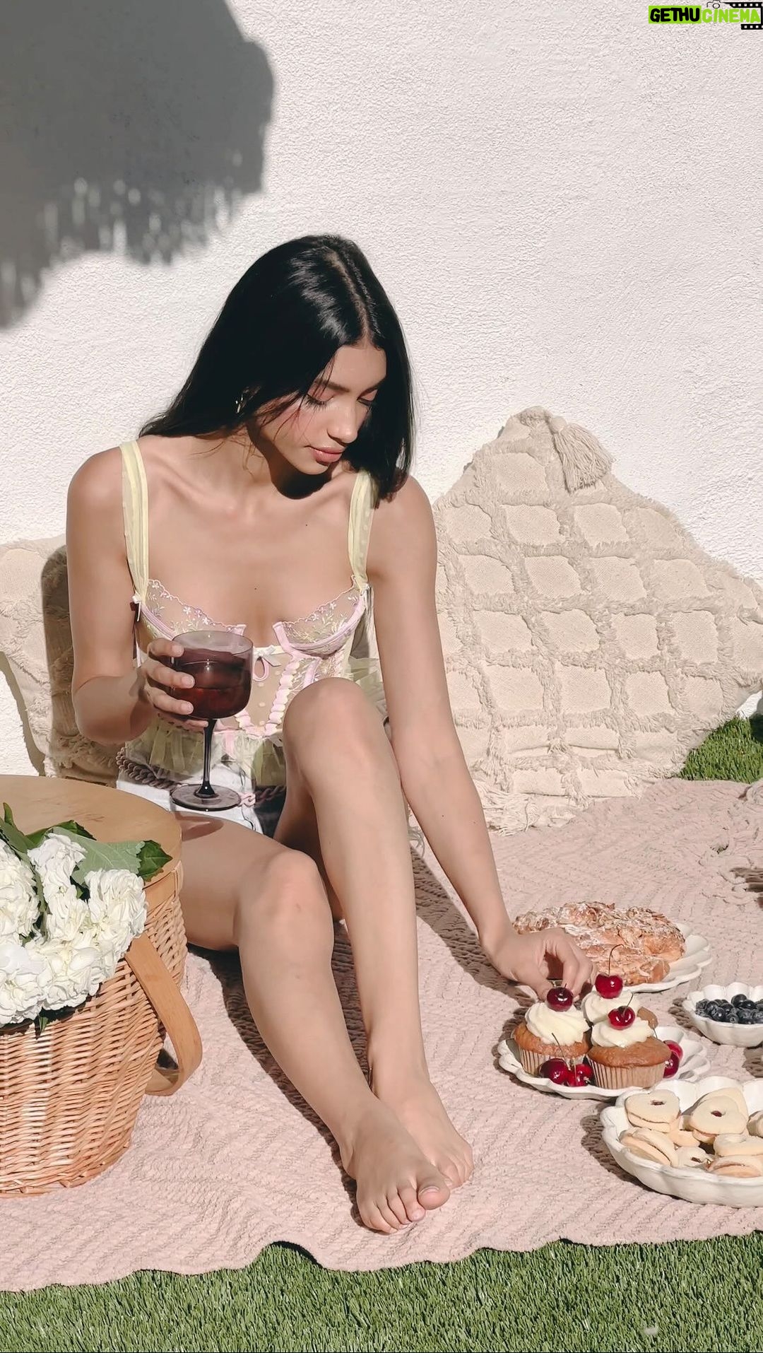 Alanna Panday Instagram - A little sunday picnic in the backyard 🧺 Los Angeles, California