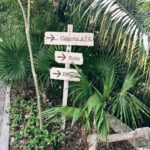 Alanna Panday Instagram - @thehouseofaia camera roll 📷 Such an amazing experience! No amount of content can do justice to this place. We had the freshest vegan food, spent our days riding bikes around the property, exploring the cenotes and little caves, doing sound meditation, yoga and water painting classes by the beach. Wish we could stay longer! Palmaïa - The House of AïA