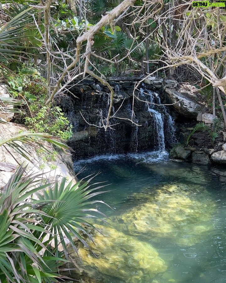 Alanna Panday Instagram - @thehouseofaia camera roll 📷 Such an amazing experience! No amount of content can do justice to this place. We had the freshest vegan food, spent our days riding bikes around the property, exploring the cenotes and little caves, doing sound meditation, yoga and water painting classes by the beach. Wish we could stay longer! Palmaïa - The House of AïA