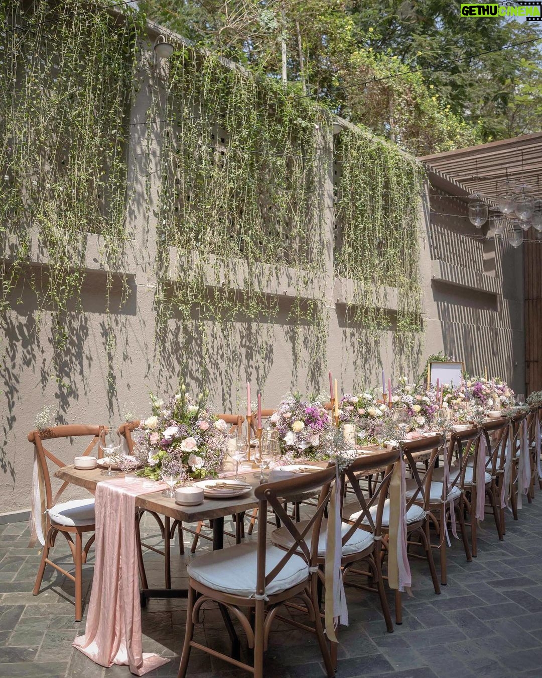 Alanna Panday Instagram - We worked with @doitup.today for our engagement party a year and a half ago and I’m so happy they got to be a part of this bridal brunch to kick start the wedding celebrations 🌸 🌷🌺
