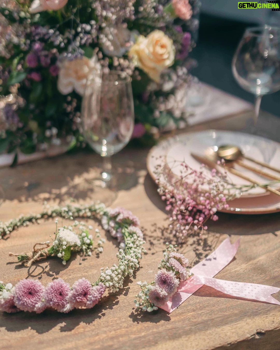 Alanna Panday Instagram - We worked with @doitup.today for our engagement party a year and a half ago and I’m so happy they got to be a part of this bridal brunch to kick start the wedding celebrations 🌸 🌷🌺