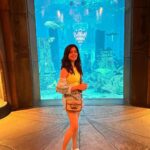 Amritha Aiyer Instagram - Thank you so much @gtholidays.in ❤️❤️❤️for making my vacation a memorable one!!! From Marina Cruise - Dessert Safari - Dubai City Tour - BURJ KHALIFA - Aqua Lost Chamber. You guys made everything perfect!!! #Dubai #gtholidays @gtholidays.in Dubai, United Arab Emirates