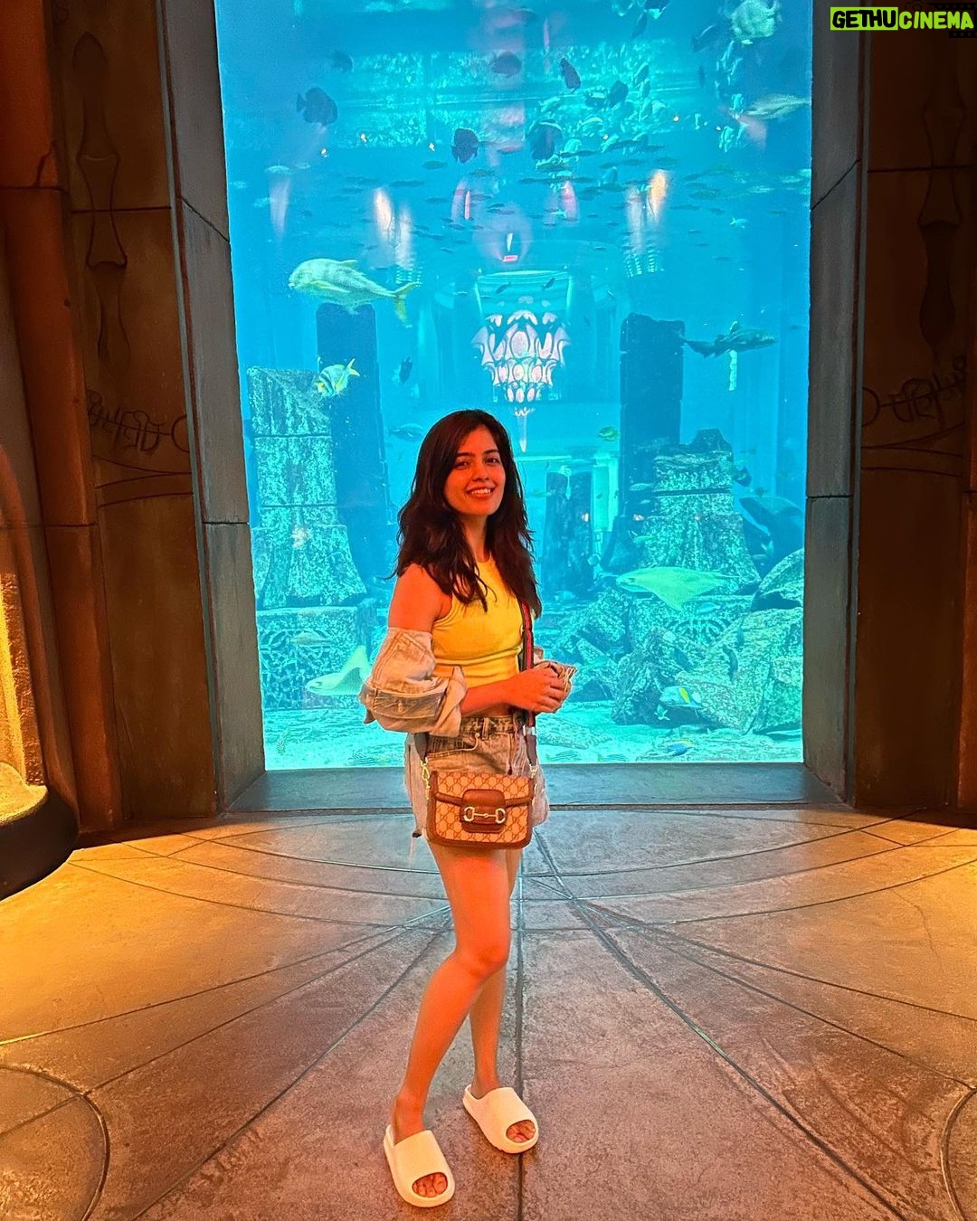 Amritha Aiyer Instagram - Thank you so much @gtholidays.in ❤️❤️❤️for making my vacation a memorable one!!! From Marina Cruise - Dessert Safari - Dubai City Tour - BURJ KHALIFA - Aqua Lost Chamber. You guys made everything perfect!!! #Dubai #gtholidays @gtholidays.in Dubai, United Arab Emirates