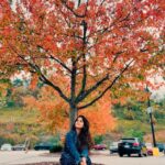 Amruta Deshmukh Instagram - “When everything looks like a magical oil painting, you know you are in Autumn!” 🍁🍂 Pittsburg, you gleaming beauty ♥️ Also, S V मंदिरातील रंगमंदिरात नियम व अटी लागू सादर करायला मिळणे ही एक पर्वणीच होती..Thank You Pittsburg वासियों 🎭 #नाटकटूर . . 📸 @sagar.pendhari07 @adhokshajkarhade