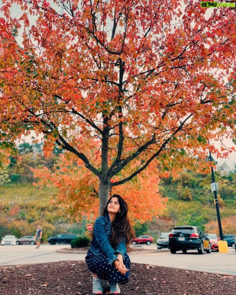 Amruta Deshmukh Instagram - “When everything looks like a magical oil painting, you know you are in Autumn!” 🍁🍂 Pittsburg, you gleaming beauty ♥️ Also, S V मंदिरातील रंगमंदिरात नियम व अटी लागू सादर करायला मिळणे ही एक पर्वणीच होती..Thank You Pittsburg वासियों 🎭 #नाटकटूर . . 📸 @sagar.pendhari07 @adhokshajkarhade