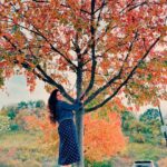 Amruta Deshmukh Instagram - “When everything looks like a magical oil painting, you know you are in Autumn!” 🍁🍂 Pittsburg, you gleaming beauty ♥️ Also, S V मंदिरातील रंगमंदिरात नियम व अटी लागू सादर करायला मिळणे ही एक पर्वणीच होती..Thank You Pittsburg वासियों 🎭 #नाटकटूर . . 📸 @sagar.pendhari07 @adhokshajkarhade