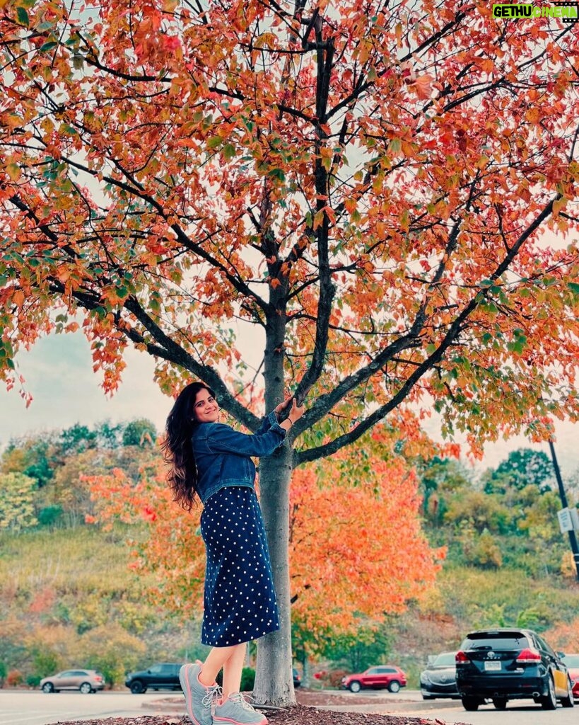 Amruta Deshmukh Instagram - “When everything looks like a magical oil painting, you know you are in Autumn!” 🍁🍂 Pittsburg, you gleaming beauty ♥️ Also, S V मंदिरातील रंगमंदिरात नियम व अटी लागू सादर करायला मिळणे ही एक पर्वणीच होती..Thank You Pittsburg वासियों 🎭 #नाटकटूर . . 📸 @sagar.pendhari07 @adhokshajkarhade