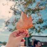 Amruta Deshmukh Instagram - “When everything looks like a magical oil painting, you know you are in Autumn!” 🍁🍂 Pittsburg, you gleaming beauty ♥️ Also, S V मंदिरातील रंगमंदिरात नियम व अटी लागू सादर करायला मिळणे ही एक पर्वणीच होती..Thank You Pittsburg वासियों 🎭 #नाटकटूर . . 📸 @sagar.pendhari07 @adhokshajkarhade
