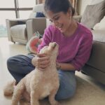 Amruta Deshmukh Instagram - Starting the Singapore Tour pretty comfortably..विमानात शेजारी कुणी नसल्याने मांडी घालून बसण्याचं सुख आणि cuteness चा कहर @chikoothemaltipoo मांडीत comfortable झाल्याचं सुख..😍 #NatakTour @niyam_v_ati_lagoo • • 📸 @sagar_pendhari08