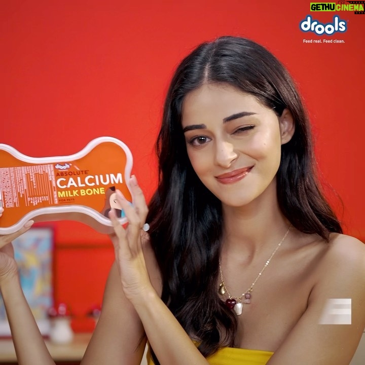 Ananya Panday Instagram - It’s time to PUPgrade your pooch’s health with Drools supplements! 🚀 🐶 From settling their indigestion to boosting their skin & coat - we have it all! Grab the goodness of calcium, vitamins and omega 3 & 6 supplements lovingly packed for their health.🦴 Feed Real. Feed Clean. @droolsindia #JustDroolIt #FeedRealFeedClean #NoByProducts #Drools #DroolsPetFood #DroolsLove #PetFood #DroolsForPets #DroolsHealthyChoice #DroolsNutrition #PetLovers #PetParents #DroolsSupplements #DroolsIndia #ad