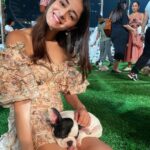 Ananya Panday Instagram - my definition of heaven - puppies & snakes .. my two fave animals 😍🐶🐍❤️