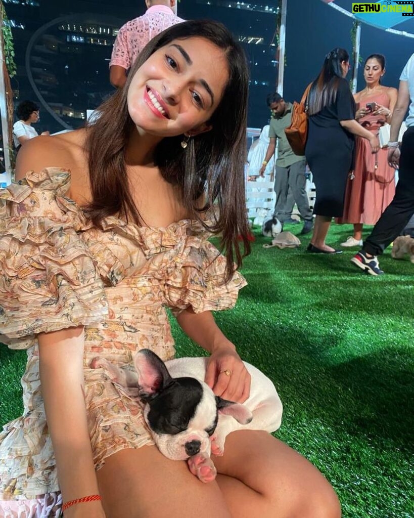 Ananya Panday Instagram - my definition of heaven - puppies & snakes .. my two fave animals 😍🐶🐍❤