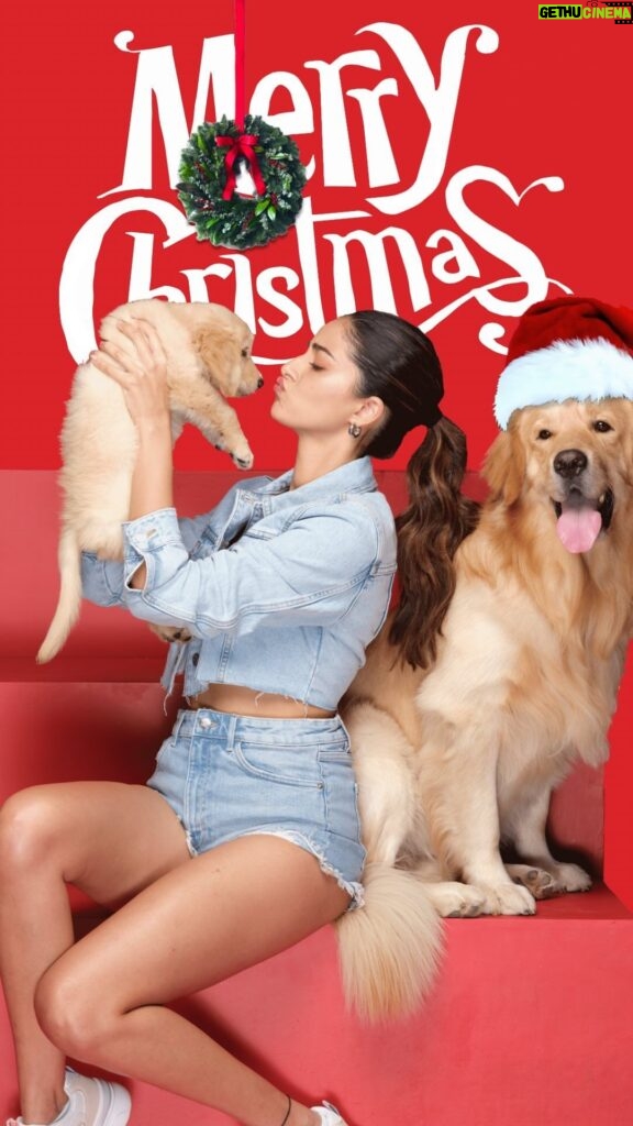 Ananya Panday Instagram - Wishing you and your furry friends a Merry Christmas and a Pawsome New Year! May the holiday season be filled with joy, laughter, and tail-wagging moments. 🎅🏻🎁❄️ Remember to shower your pets with love and Drools for a year filled with health, happiness, and unforgettable memories @droolsindia 🐾 #droolsindia #newyear #christmas #pets #ad #collab